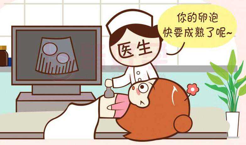 广州供卵套餐价格,专业合法代孕