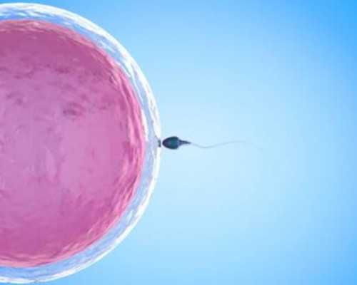成都三代试管胚胎筛查准确率有多高？,成都三代试管医院的背景和实力如何？