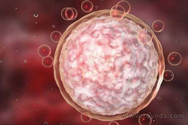 酒泉代孕最权威论坛,b超和验血激素在试管婴儿过程中的作用-卵巢早衰可以长期