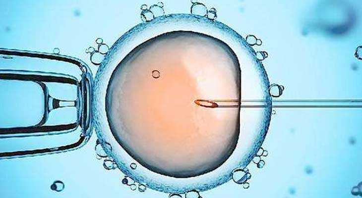 璧山36岁供卵成功案例_试管婴儿，胚胎级别取决于女性卵子的质量？男性精子占