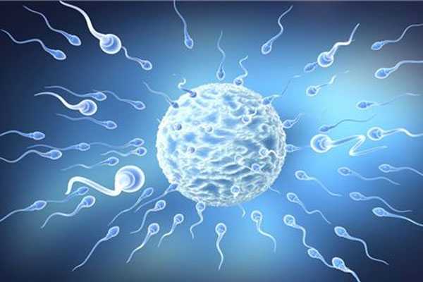 平凉借卵试管的成功率_赴泰试管婴儿，男性HIV生育健康宝宝流程解析