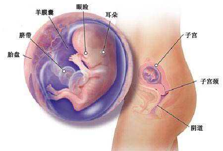 上海代妈价格_提高济南三代试管婴儿成功率需要怎么做？